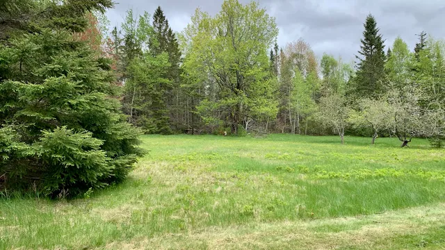 $294,500 | 191 Route 191 Route, Cathance Township, ME 04657