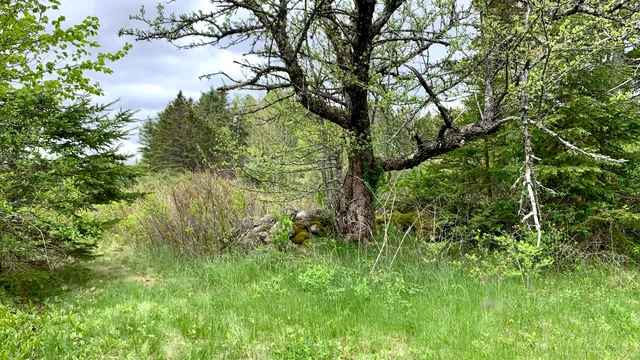 $294,500 | 191 Route 191 Route, Cathance Township, ME 04657