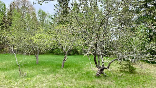 $294,500 | 191 Route 191 Route, Cathance Township, ME 04657