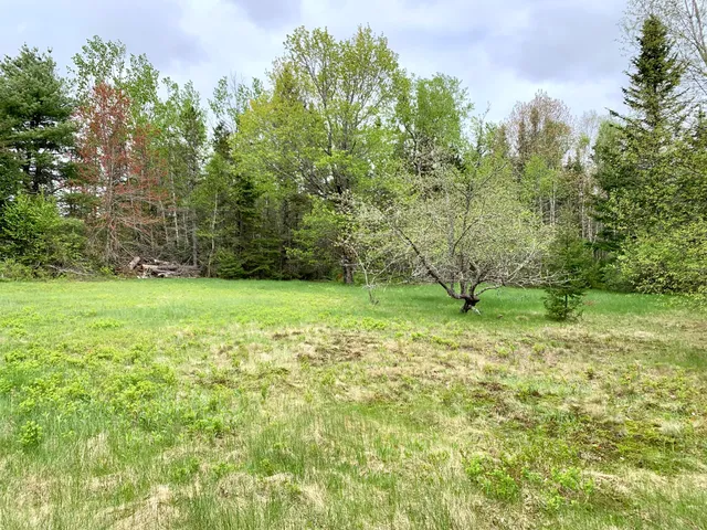 $294,500 | 191 Route 191 Route, Cathance Township, ME 04657