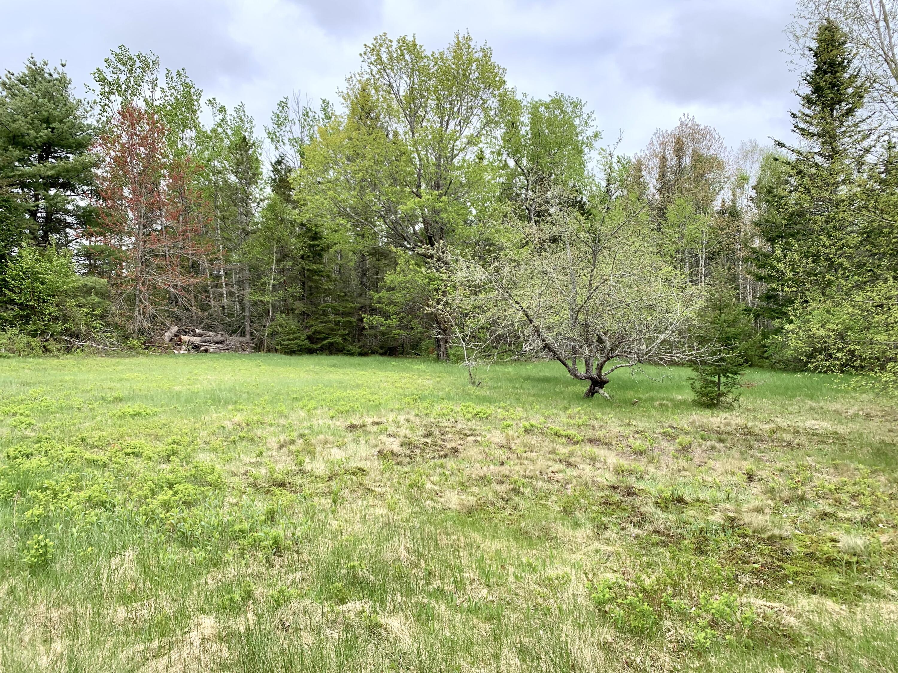 191 Route 191 Route Cathance Township, ME 04657 - Photo 82 of 93 IMG_8395