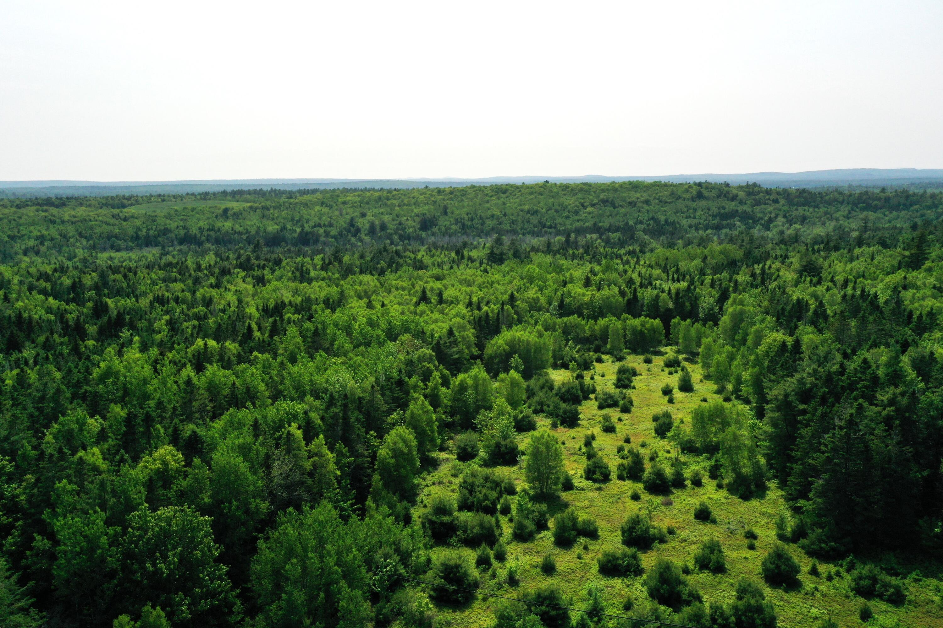 191 Route 191 Route Cathance Township, ME 04657 - Photo 84 of 93 DJI_0465