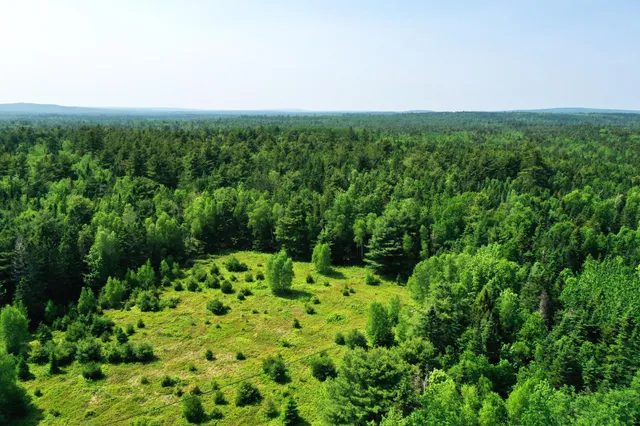 $294,500 | 191 Route 191 Route, Cathance Township, ME 04657