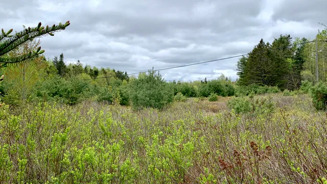 $294,500 | 191 Route 191 Route, Cathance Township, ME 04657
