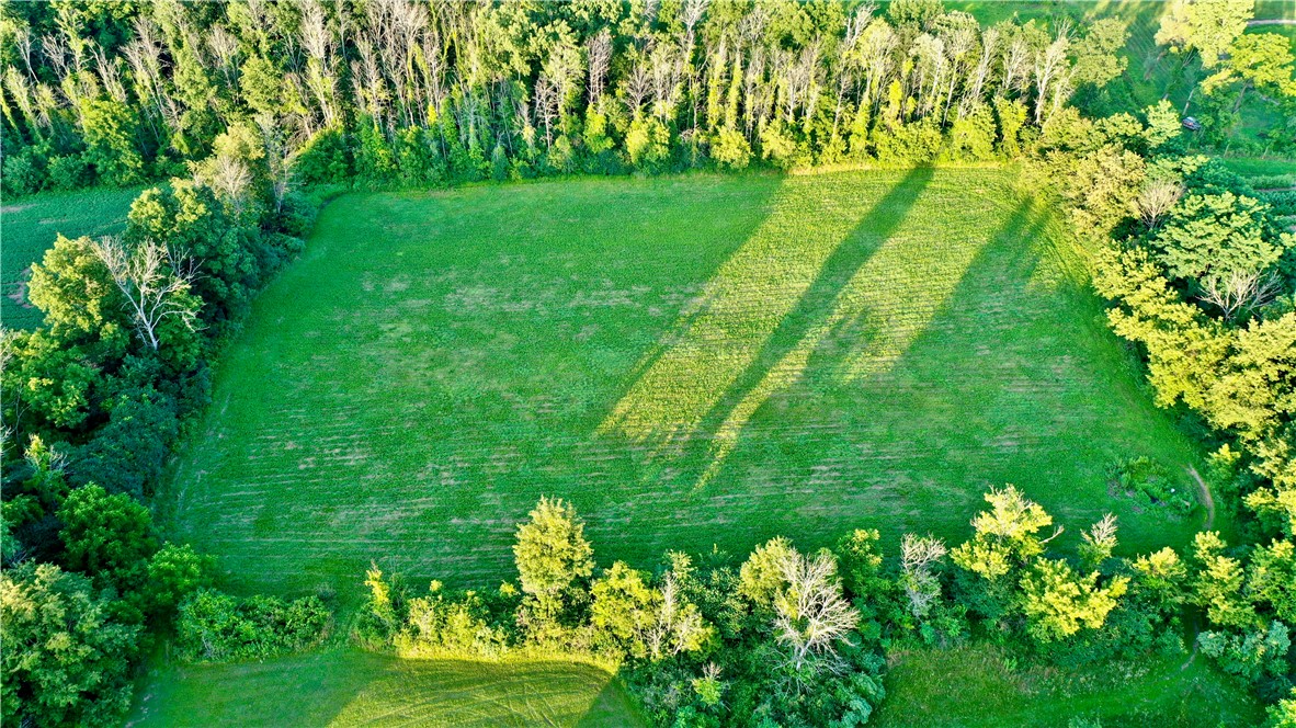 2666 Lyon Road Palmyra, NY 14513 - Photo 3 of 50