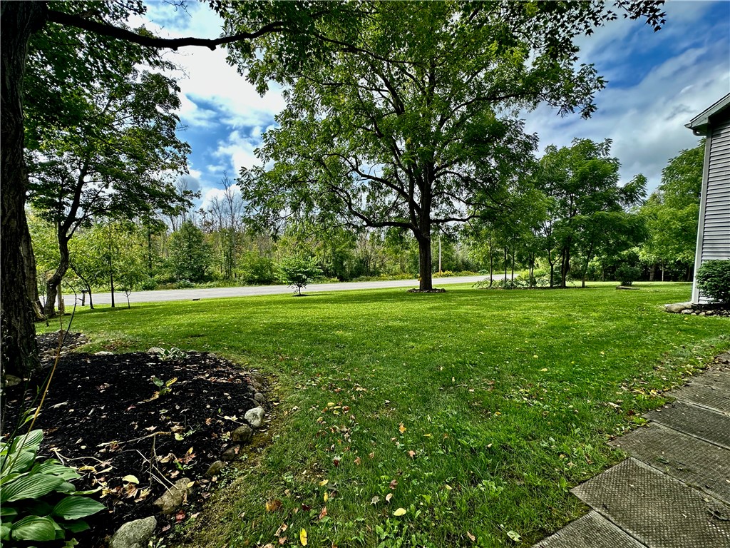 2666 Lyon Road Palmyra, NY 14513 - Photo 6 of 50