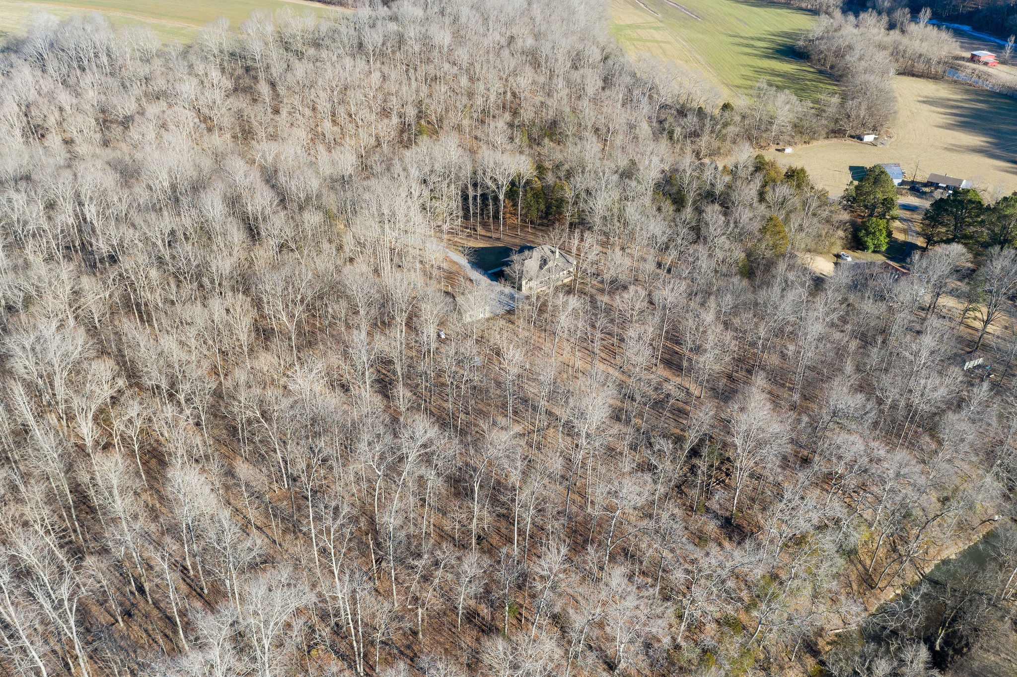 5090 Watkins Ford Road Southside, TN 37171 - Photo 6 of 50 Gallery Image 6