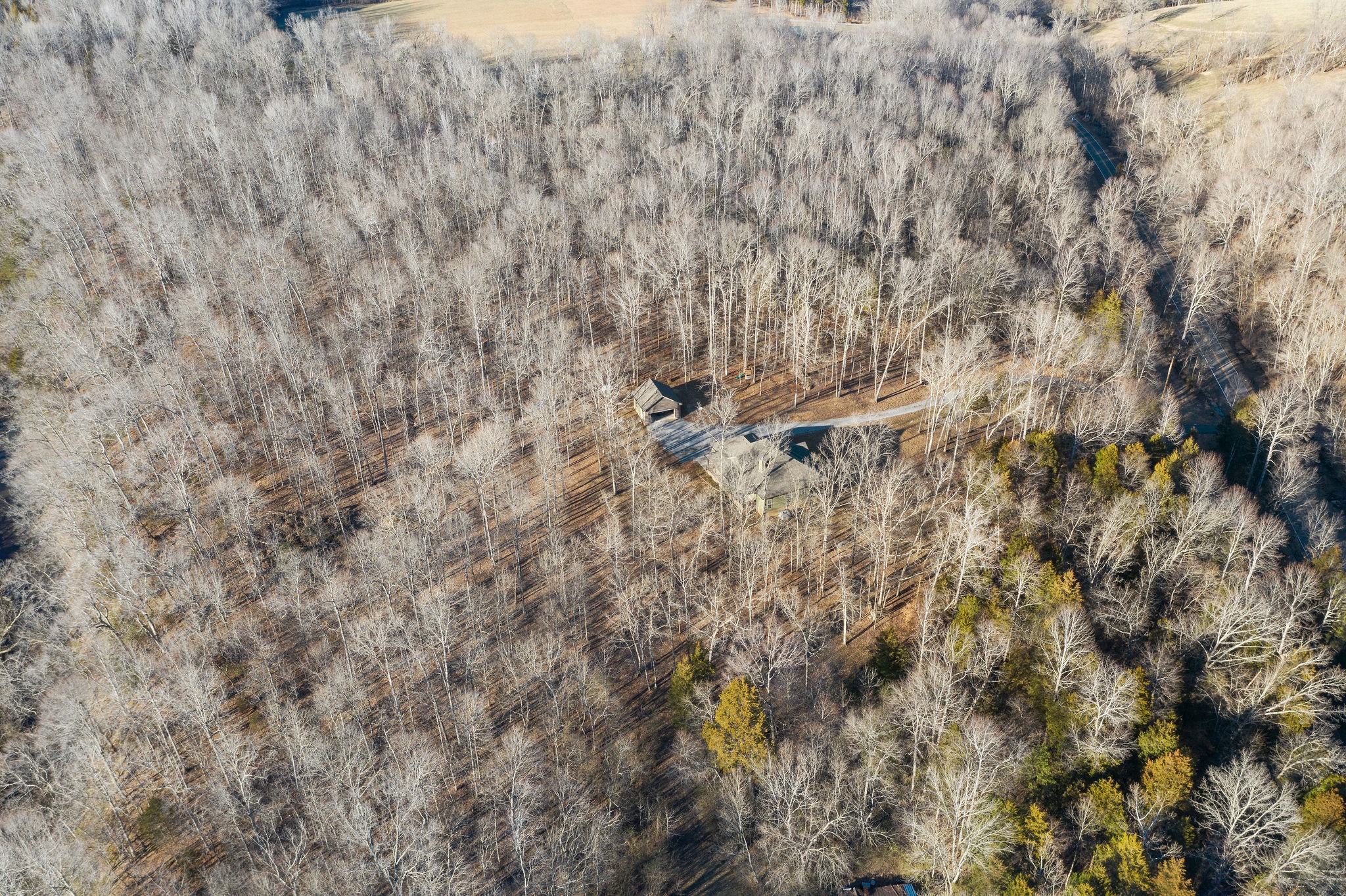 5090 Watkins Ford Road Southside, TN 37171 - Photo 10 of 50 Gallery Image 10