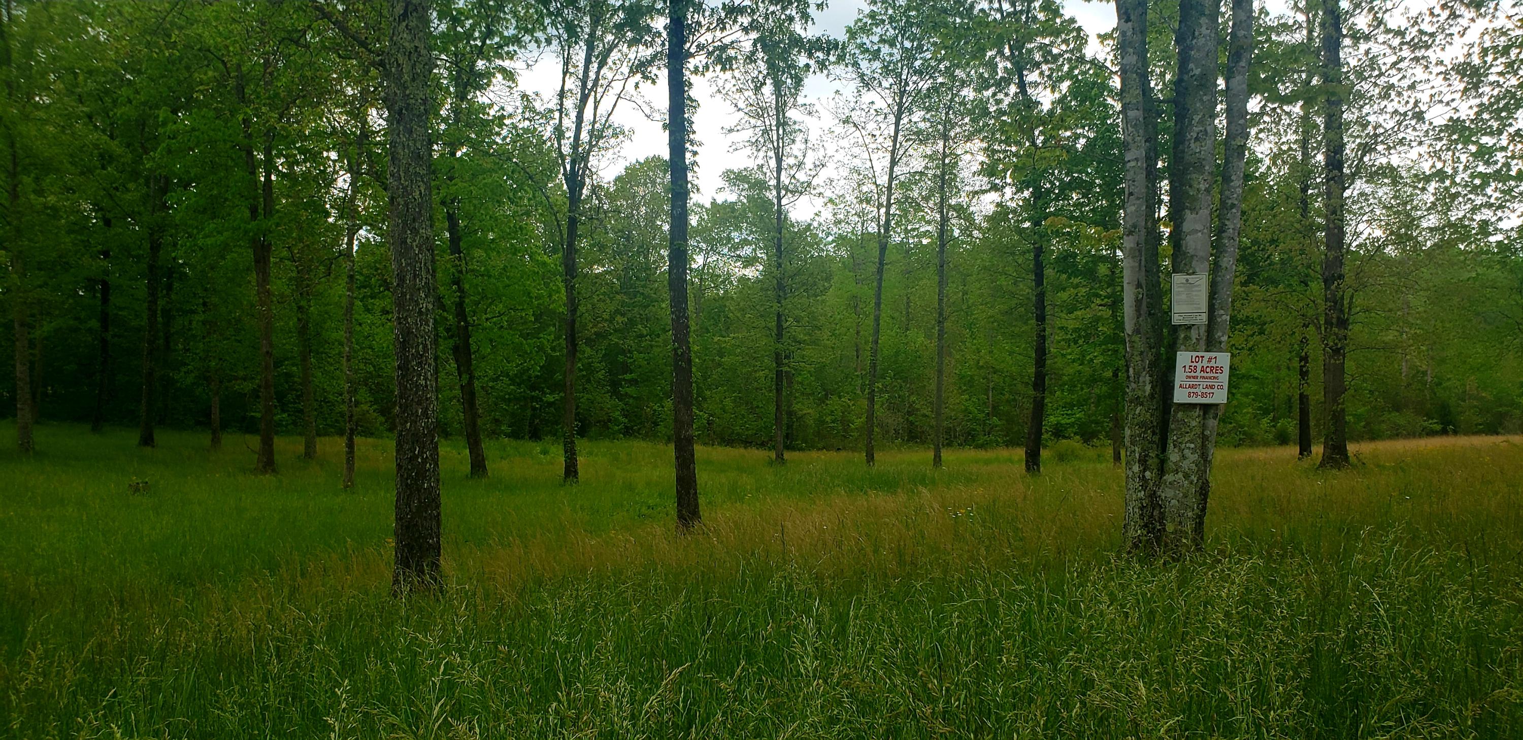 Lot 1 Stockton Road Jamestown, TN 38556 - Photo 3 of 5 Lot1SRd
