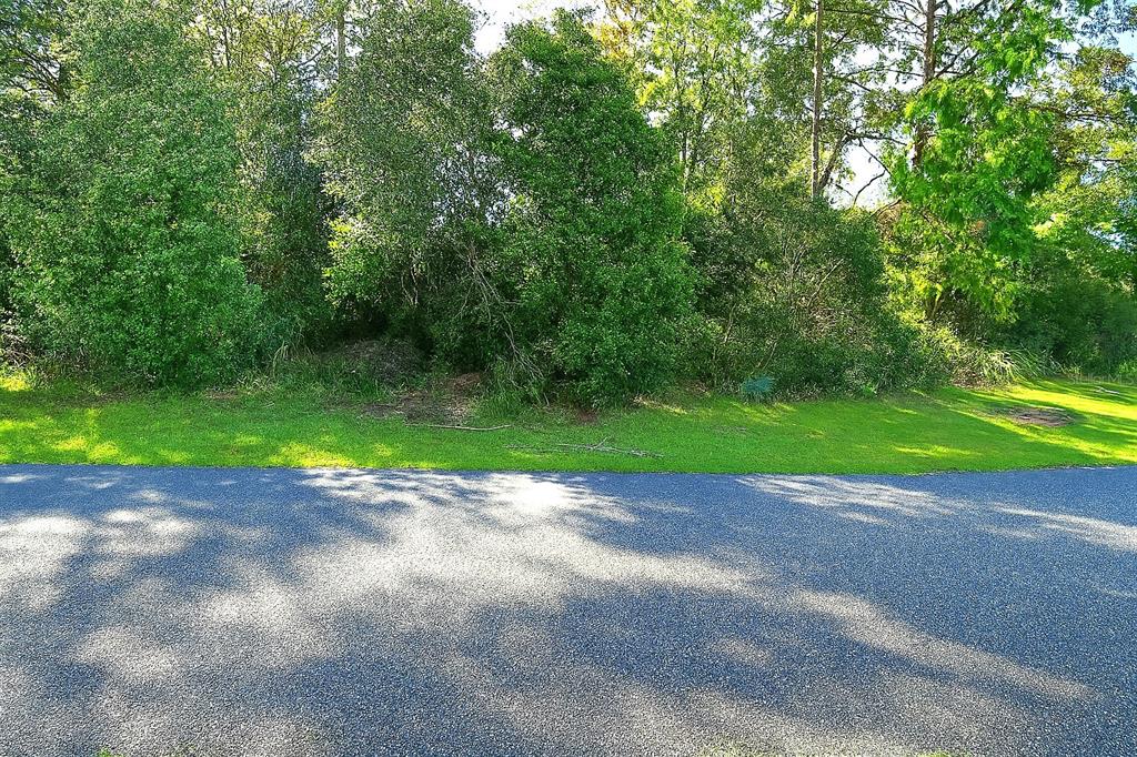 a view of a yard with a house in the background