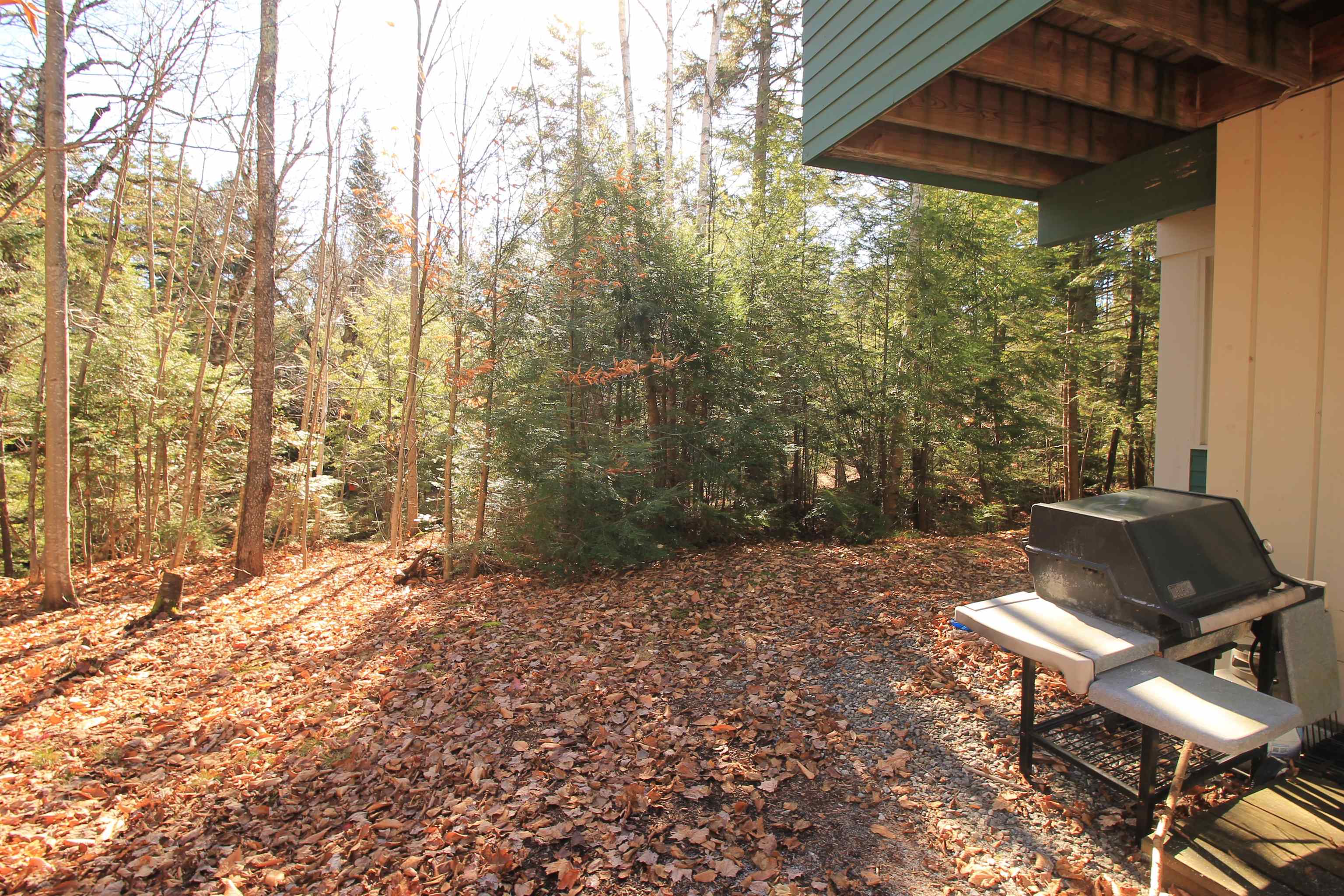 51 Village Road, Unit 5 Waterville Valley, NH 03215 - Photo 8 of 20