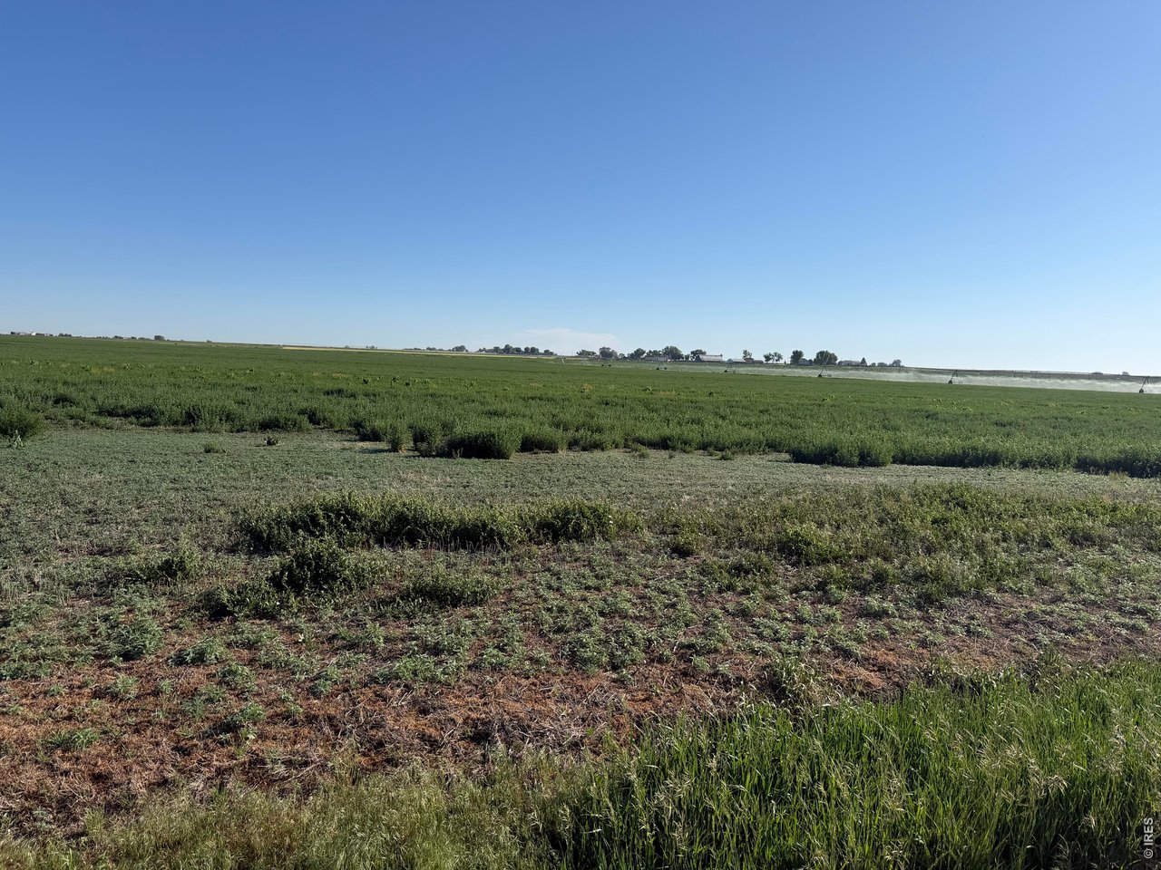 70 County Road Eaton, CO 80615 - Photo 11 of 17