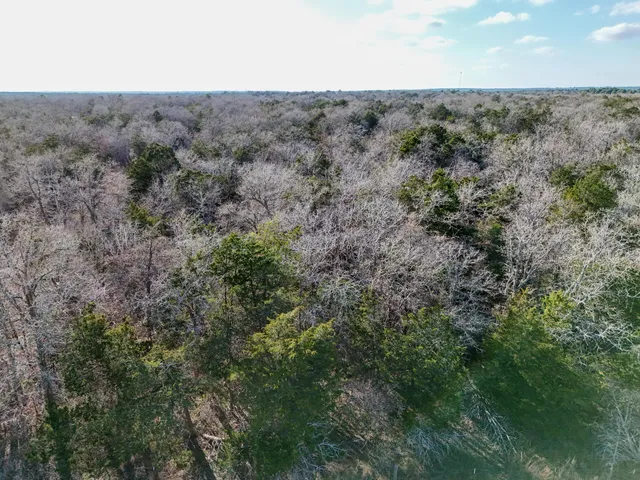 $100,000 | Lot 15 Antioch Road, Paige, TX 78659