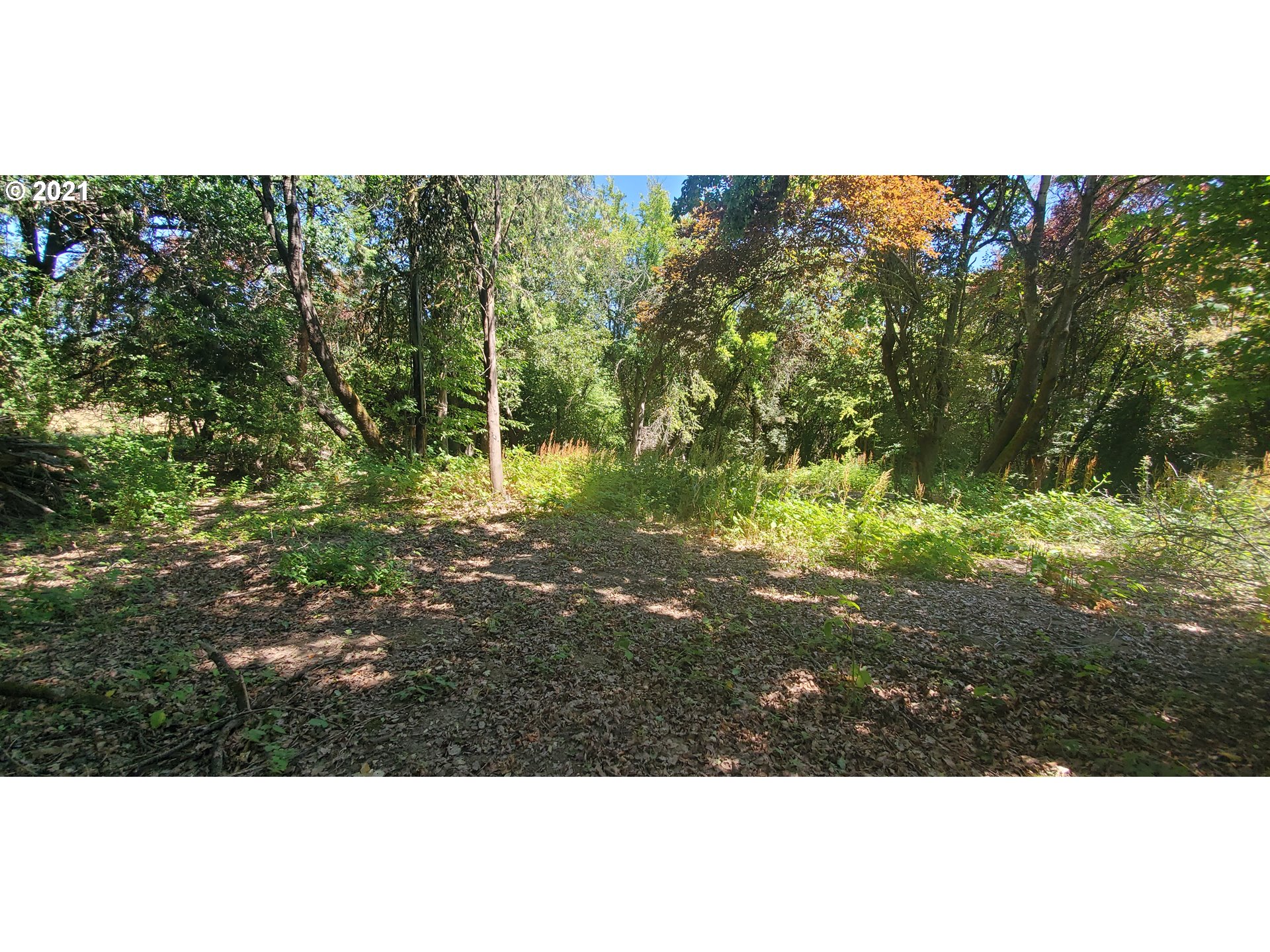 216 Northeast 184th Street Ridgefield, WA 98642 - Photo 3 of 3