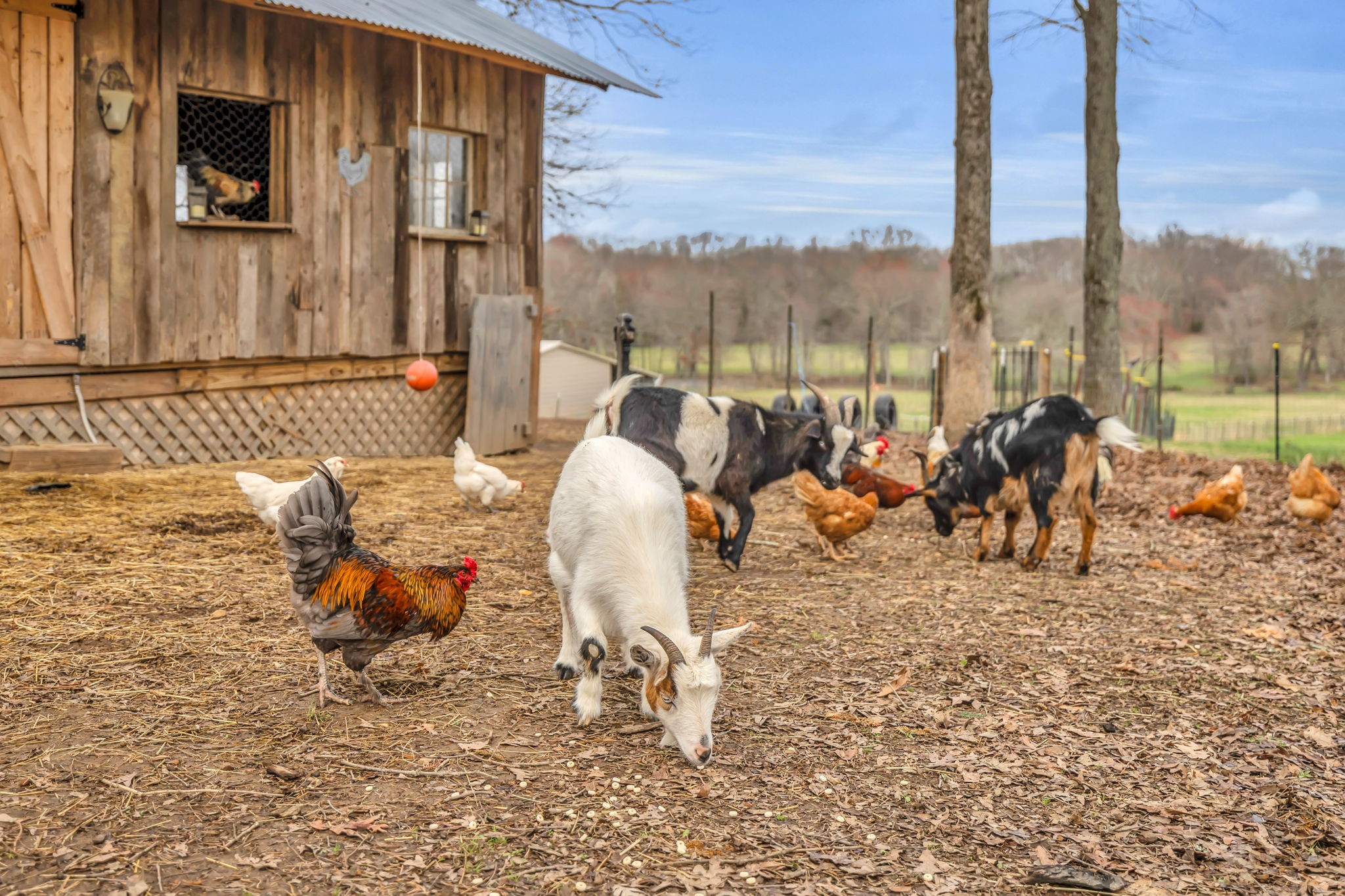 1640 Eno Road Dickson, TN 37055 - Photo 53 of 58