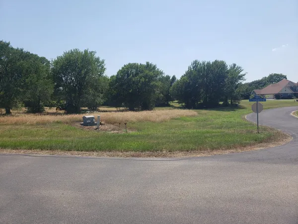 a view of road with grass and trees