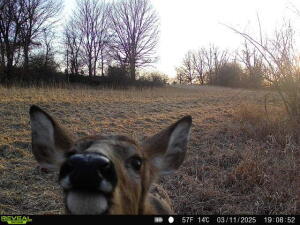 34.75 Washburn Road Grass Lake, MI 49240 - Photo 12 of 25 21