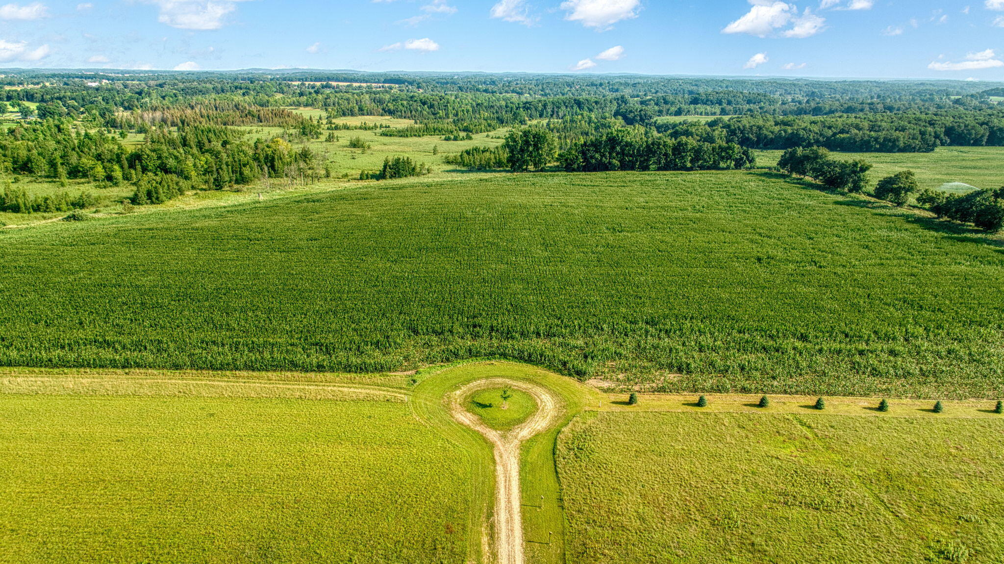 34.75 Washburn Road Grass Lake, MI 49240 - Photo 14 of 25 3-web-or-mls-DJI_0964_HDR