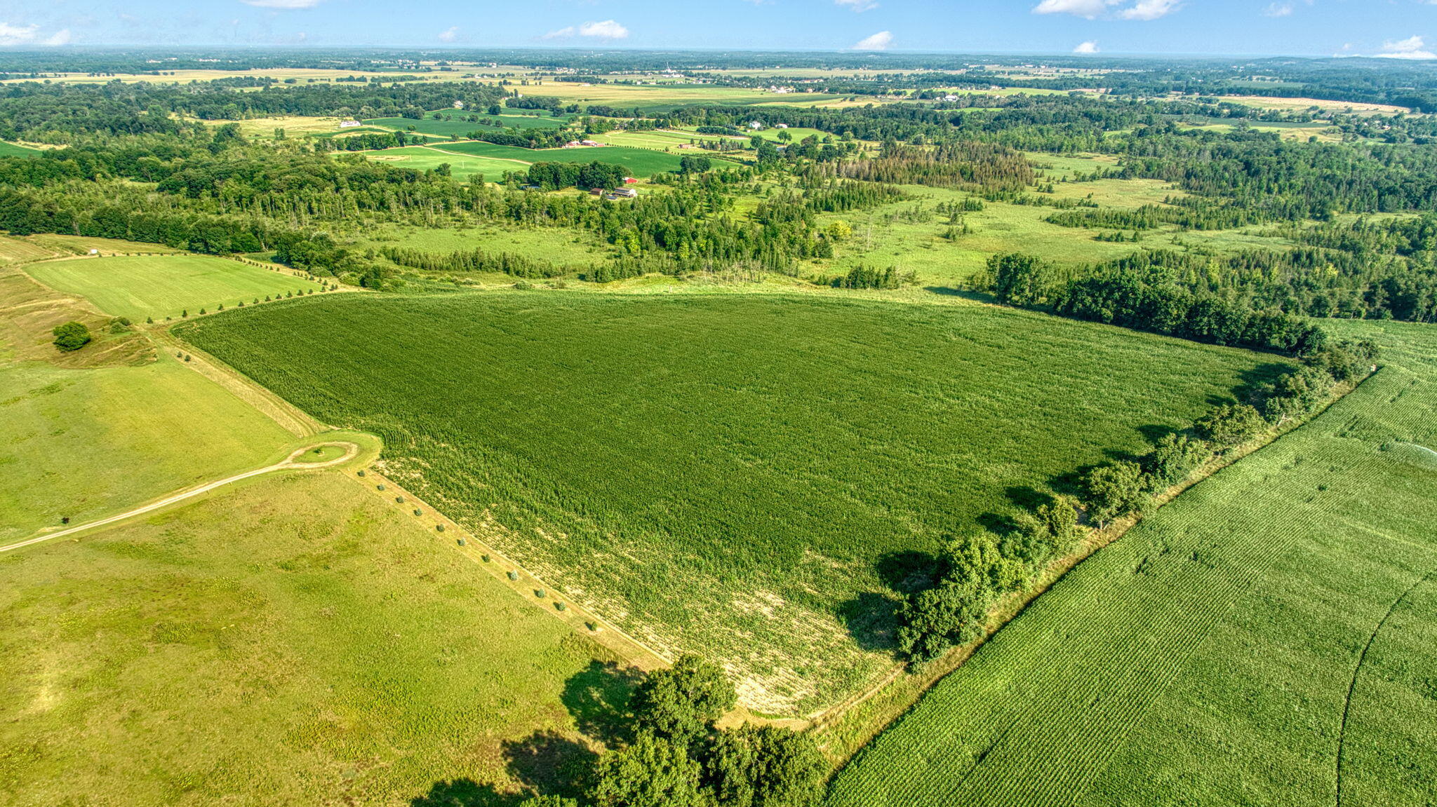 34.75 Washburn Road Grass Lake, MI 49240 - Photo 15 of 25 4-web-or-mls-DJI_0967_HDR