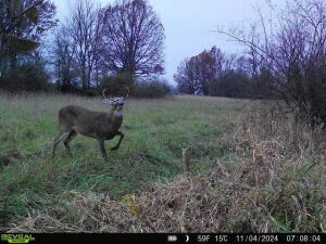 34.75 Washburn Road Grass Lake, MI 49240 - Photo 8 of 25 19
