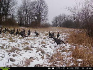 34.75 Washburn Road Grass Lake, MI 49240 - Photo 9 of 25 20