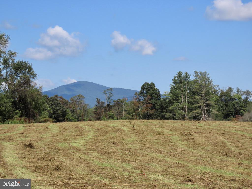 419 Rudasill Mill Road Woodville, VA 22749 - Photo 37 of 42 22 acre hay field or pasture, barn etc
