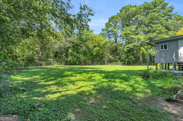 a view of a trees in a yard