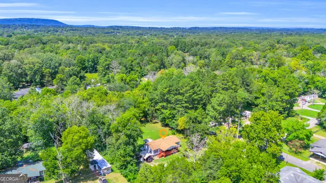a view of a lush green forest