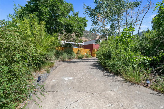510 Spring Creek Road Providence, UT 84332 - Photo 81 of 97 Concrete driveway framed by mature trees and lush vegetation, leading towards a red-sided structure with a wooden fence