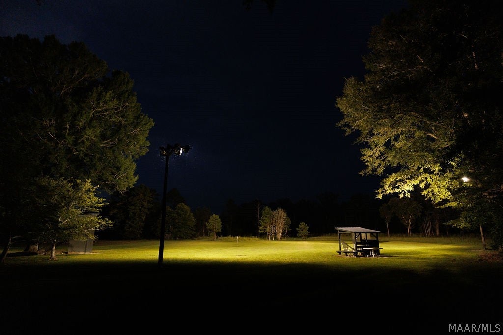 0 Dykes Road Hurtsboro, AL 36860 - Photo 6 of 59 Gallery Image 6