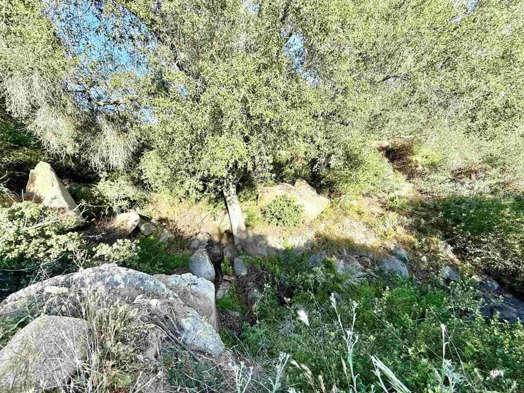 0 Mt Olympus Valley Road Fallbrook, CA 92028 - Photo 16 of 50
