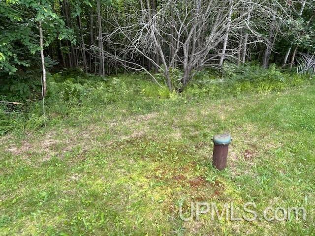 21522 Skanee Road Skanee, MI 49962 - Photo 39 of 45