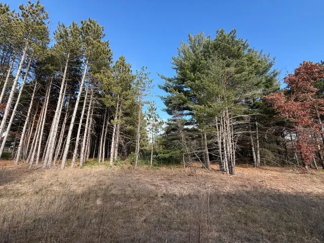 $155,000 | L2-blk1 262nd Avenue Northwest, Big Lake, MN 55309