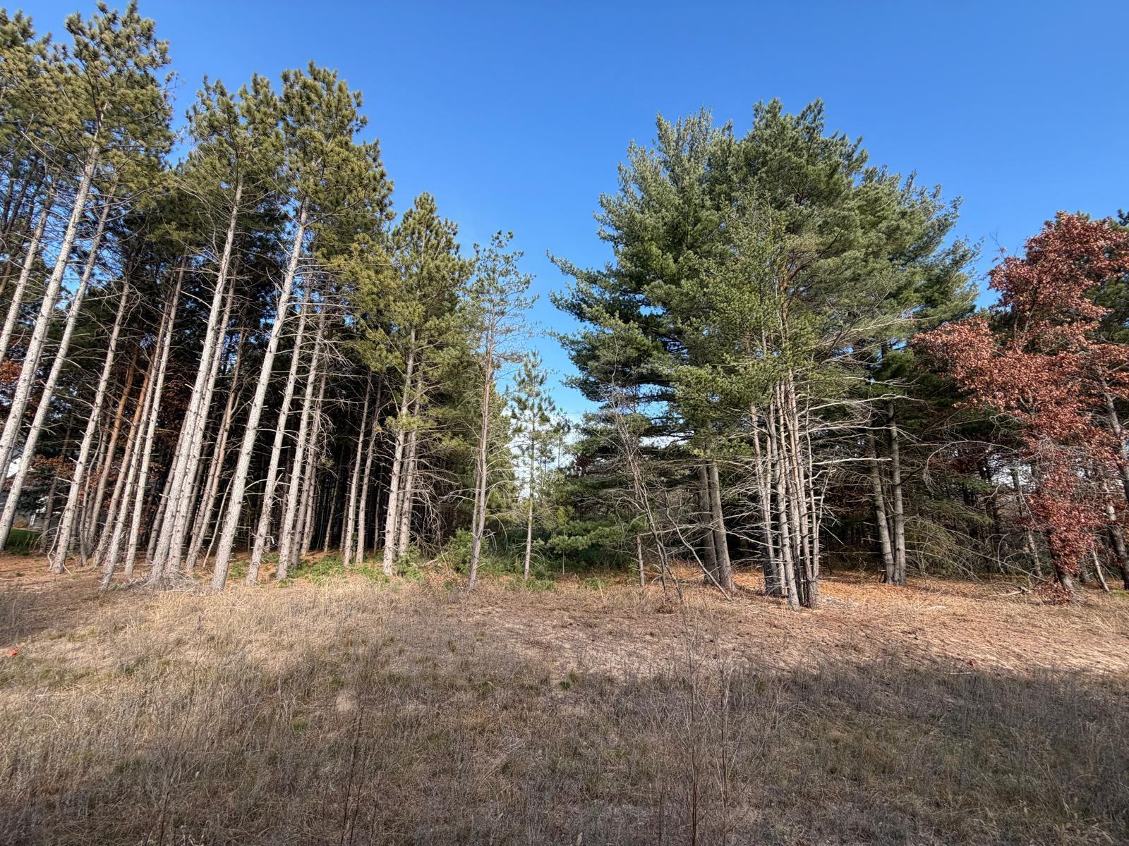 L2-blk1 262nd Avenue Northwest Big Lake, MN 55309 - Photo 1 of 4