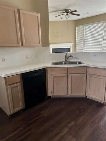 a view of a garden with a large trees