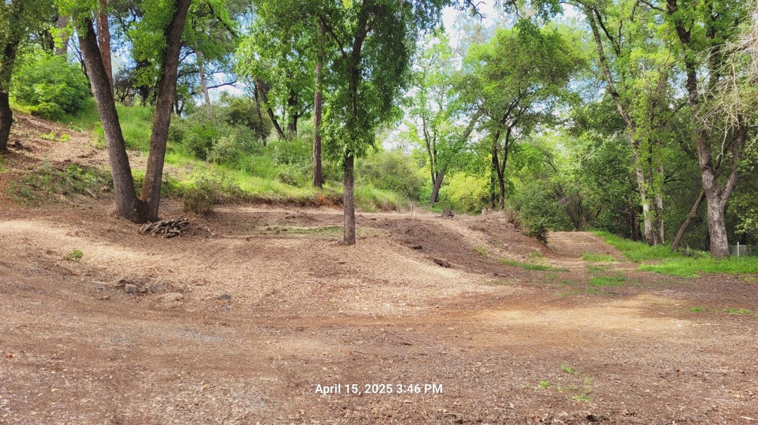 a view of a dirt road with trees in the background