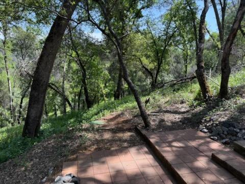 303 Stone House Road Auburn, CA 95603 - Photo 17 of 26 a view of a forest with trees
