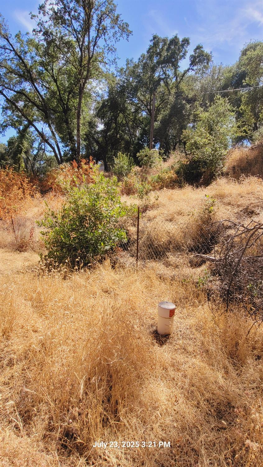 303 Stone House Road Auburn, CA 95603 - Photo 19 of 26 a view of yard covered with snow