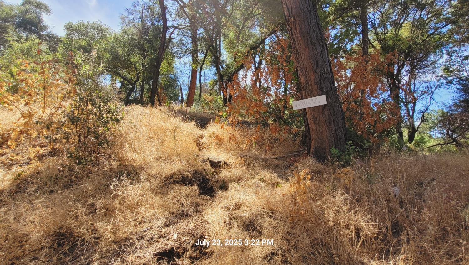 303 Stone House Road Auburn, CA 95603 - Photo 20 of 26 a view of a yard covered with trees