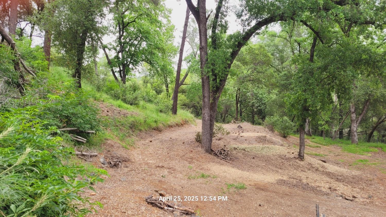303 Stone House Road Auburn, CA 95603 - Photo 22 of 26 a view of a dirt road with trees in the background