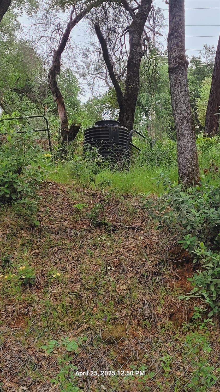 303 Stone House Road Auburn, CA 95603 - Photo 24 of 26 a big yard with lots of green space and house