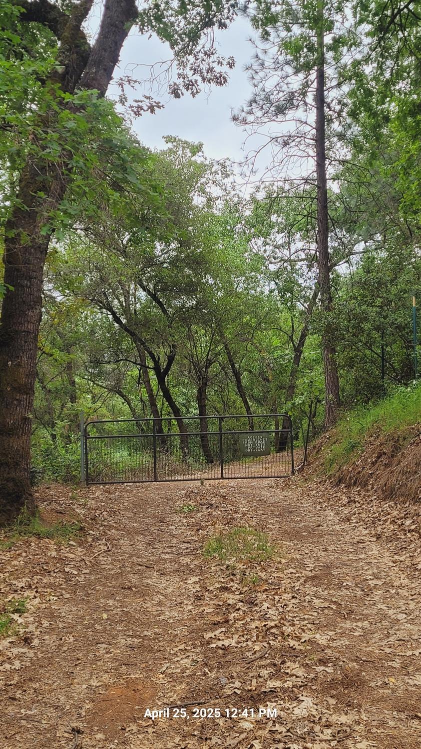 303 Stone House Road Auburn, CA 95603 - Photo 25 of 26 a backyard of a house with lots of green space