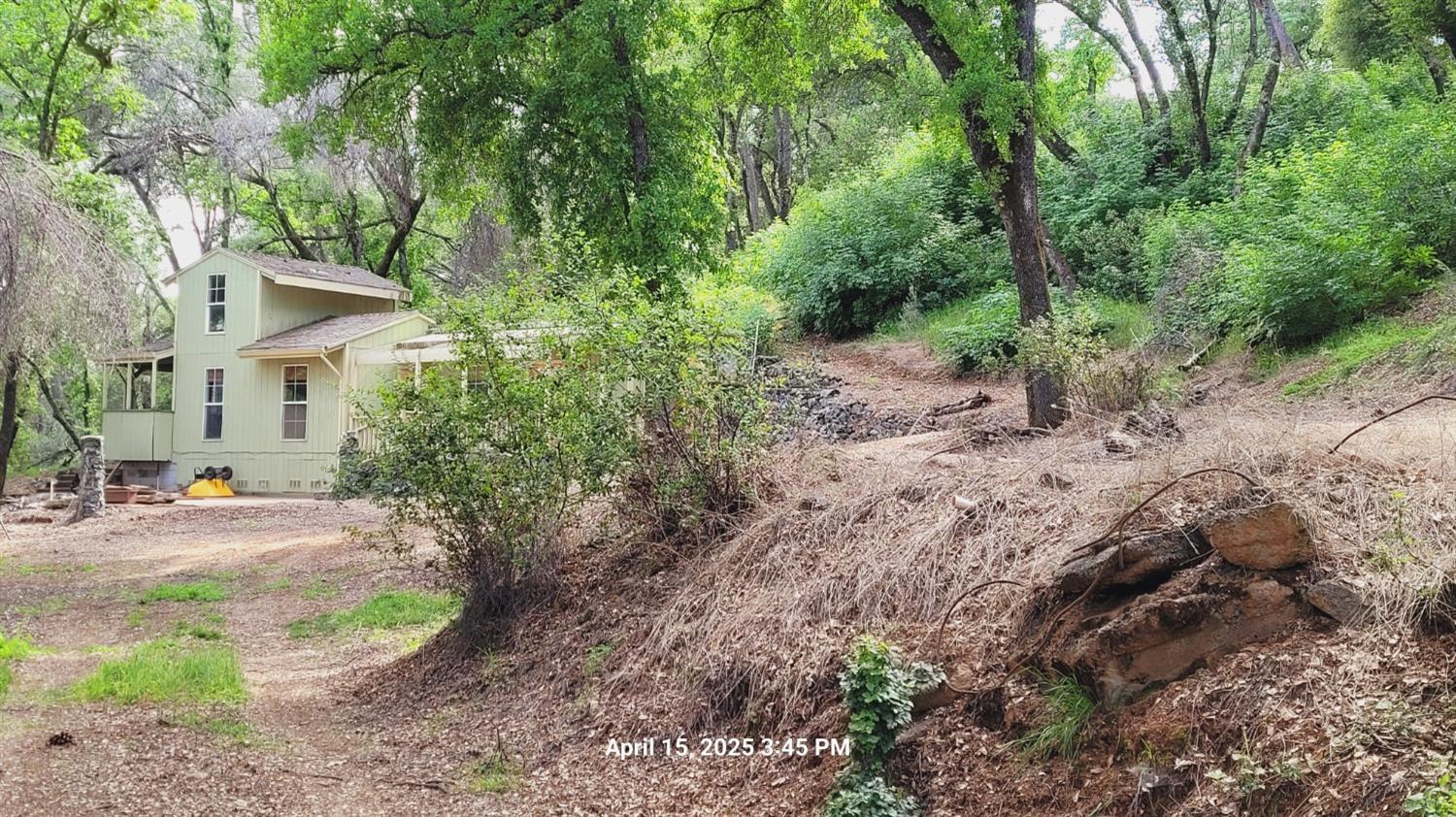 303 Stone House Road Auburn, CA 95603 - Photo 4 of 26 a view of a patio with plants and large trees