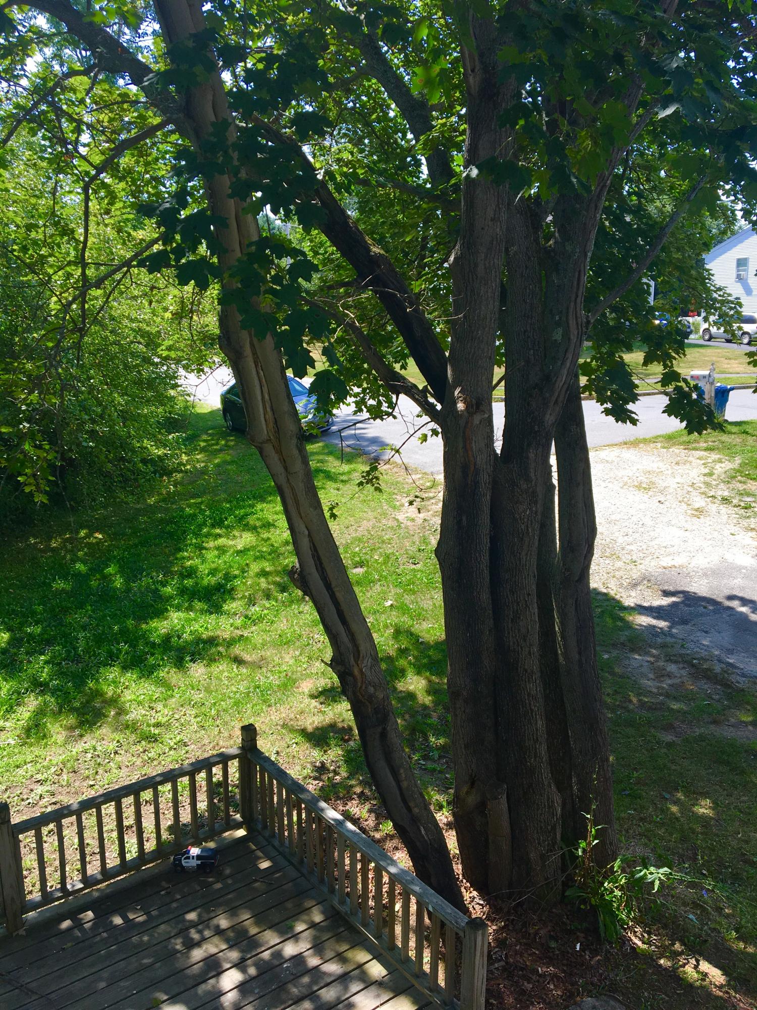 39 Dedham Street Portland, ME 04103 - Photo 42 of 46 View of Deck and Driveway from Top Landi