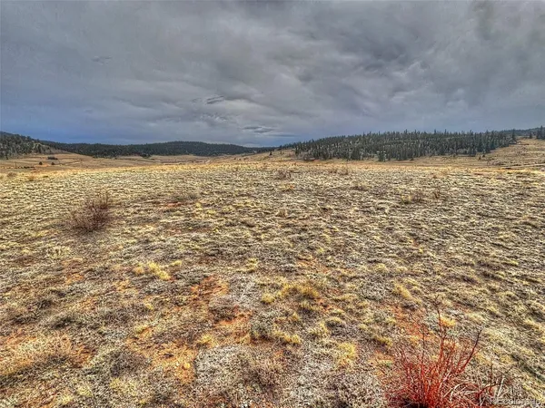 $46,499 | 317 Lippzana Road, Como, CO 80456