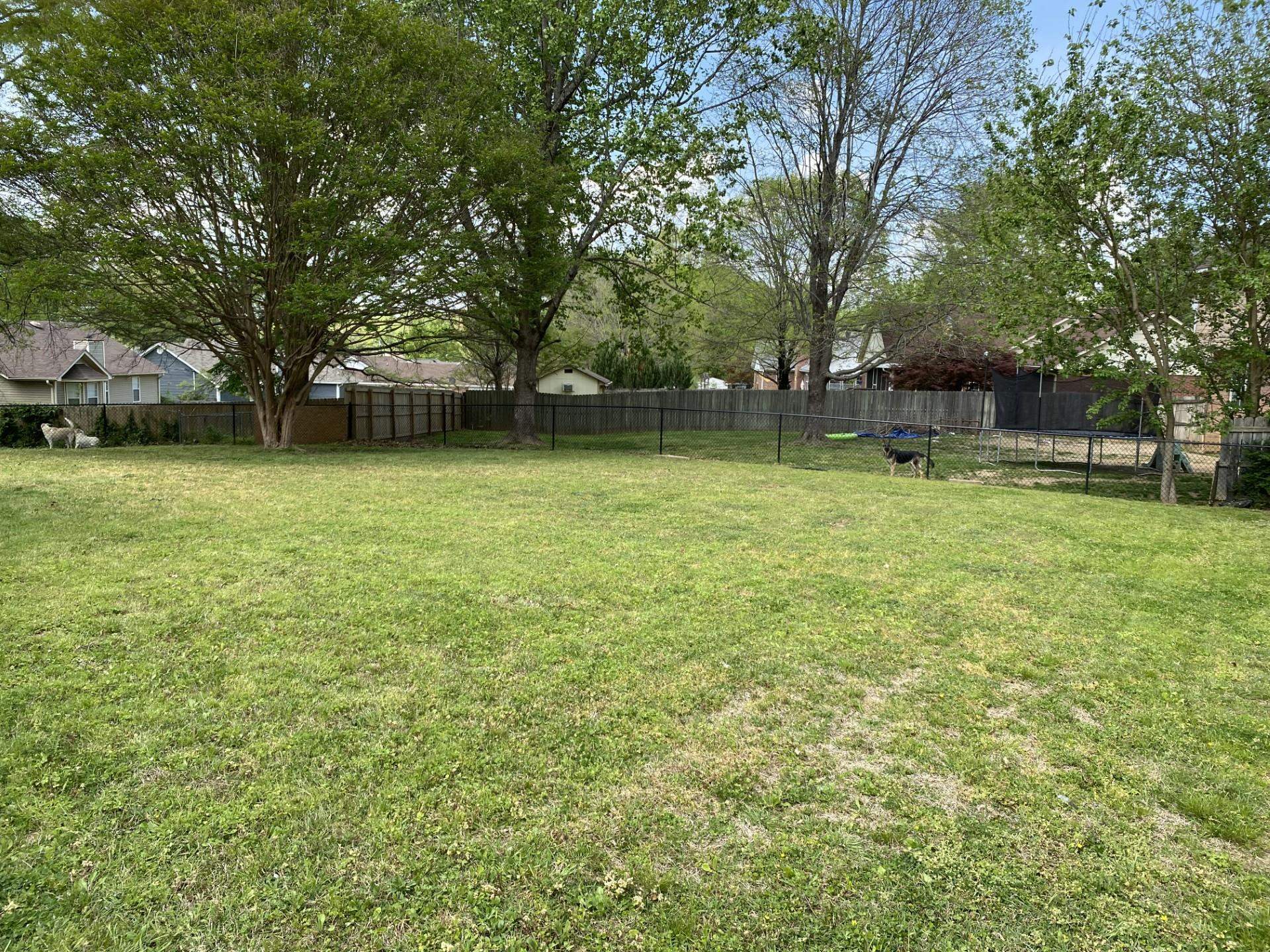 81 Candlewick Drive Jackson, TN 38305 - Photo 6 of 29 Gallery Image 6