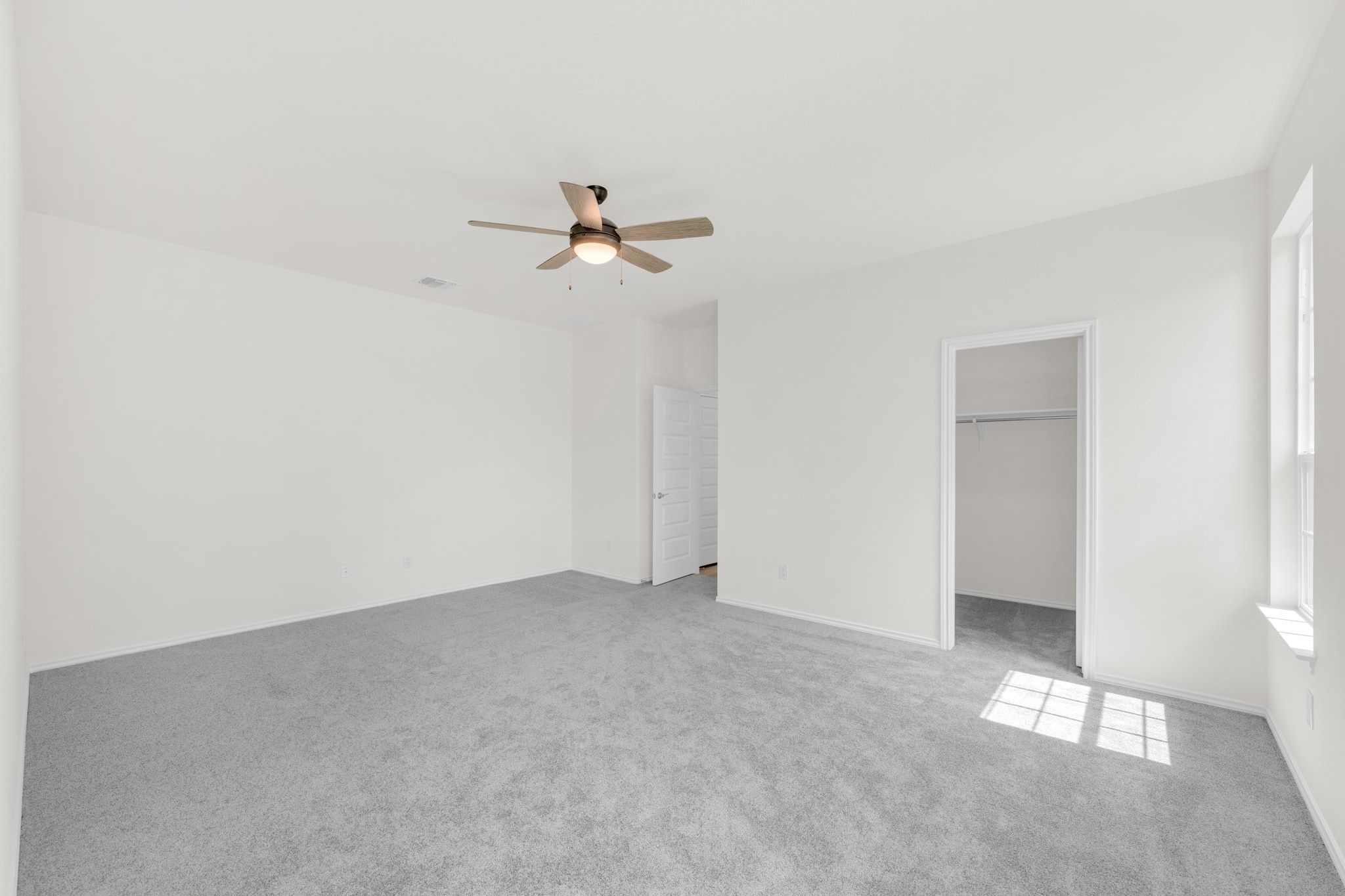 3764 Liberi Lane Round Rock, TX 78665 - Photo 23 of 39