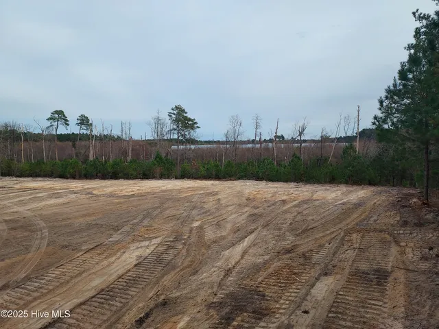 $115,000 | Tbd Palmer Road, Marston, NC 28363