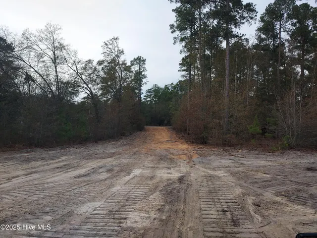 $115,000 | Tbd Palmer Road, Marston, NC 28363