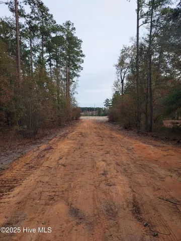 $115,000 | Tbd Palmer Road, Marston, NC 28363